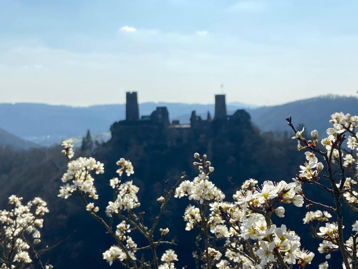 Ferienwohnung Auf Der Moselhoehe - Naehe Koblenz Und Cochem Dieblich Buitenkant foto