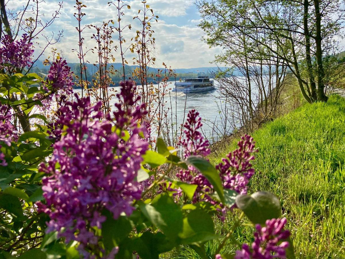 Ferienwohnung Auf Der Moselhoehe - Naehe Koblenz Und Cochem Dieblich Buitenkant foto