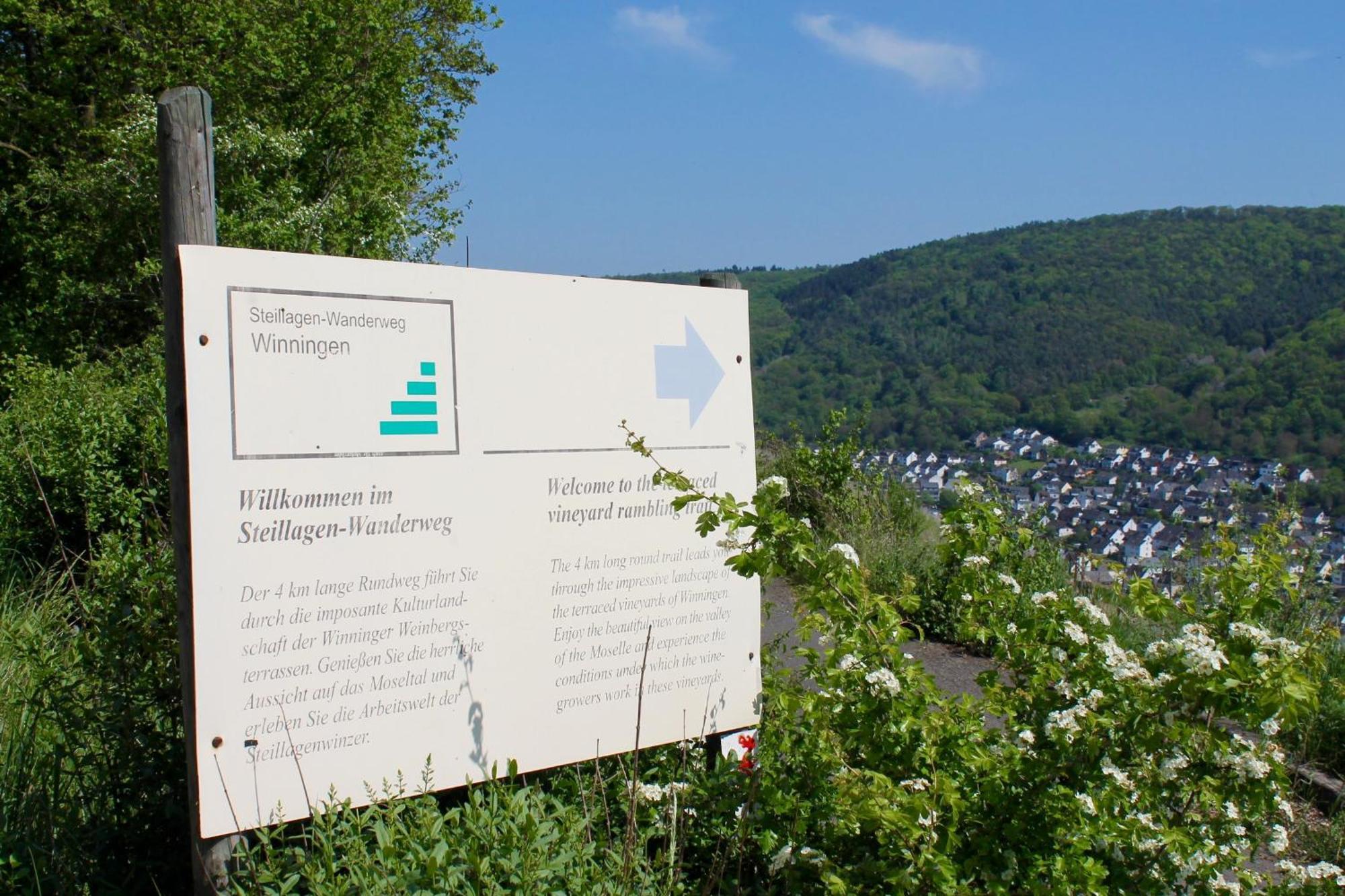 Ferienwohnung Auf Der Moselhoehe - Naehe Koblenz Und Cochem Dieblich Buitenkant foto