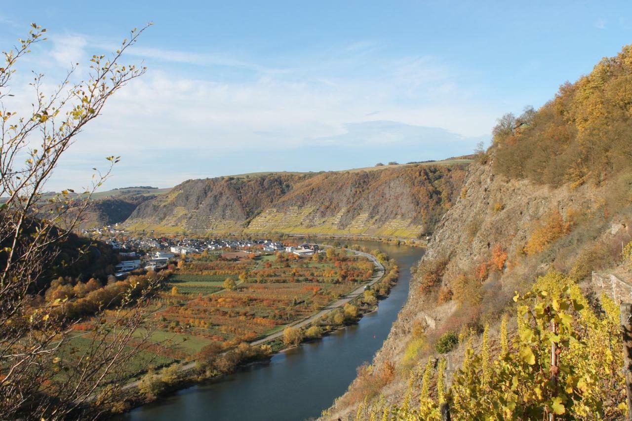 Ferienwohnung Auf Der Moselhoehe - Naehe Koblenz Und Cochem Dieblich Buitenkant foto