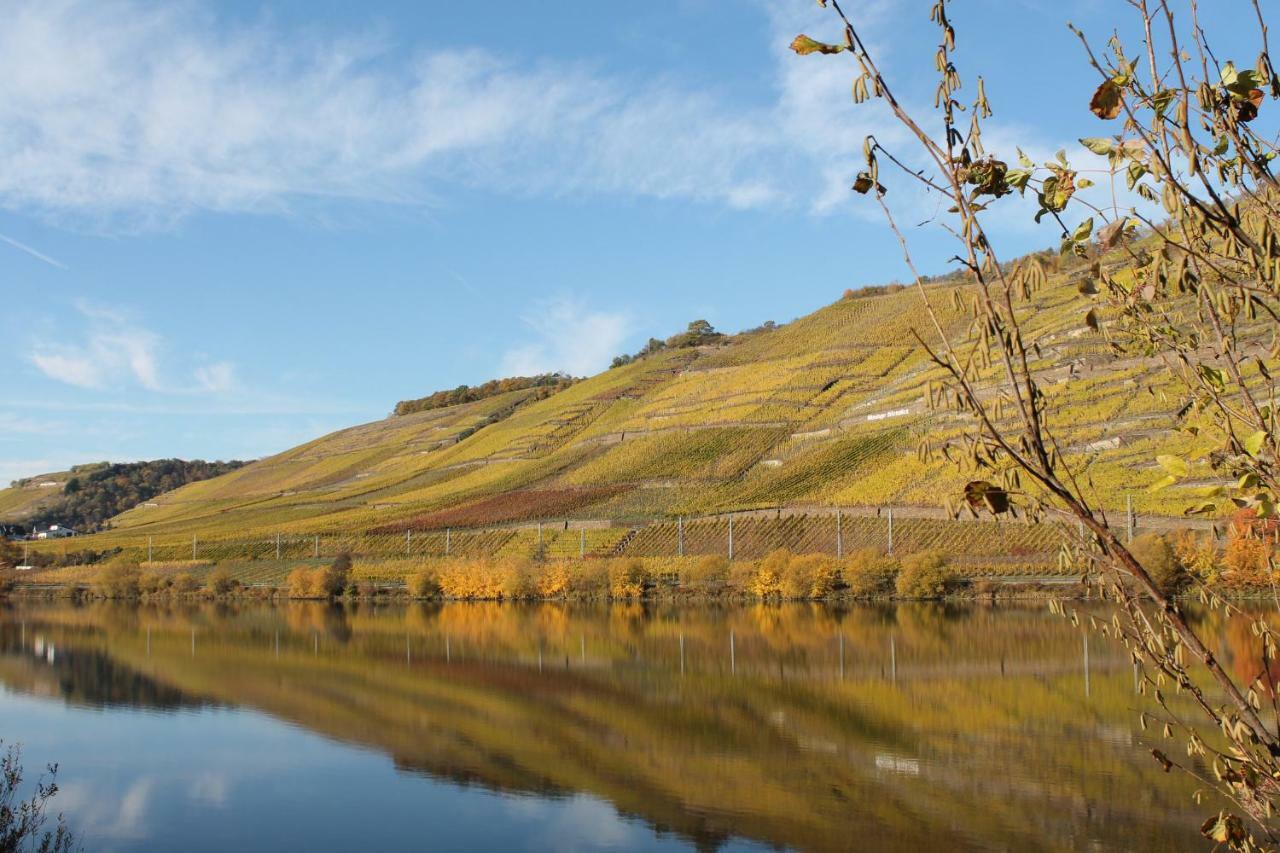 Ferienwohnung Auf Der Moselhoehe - Naehe Koblenz Und Cochem Dieblich Buitenkant foto